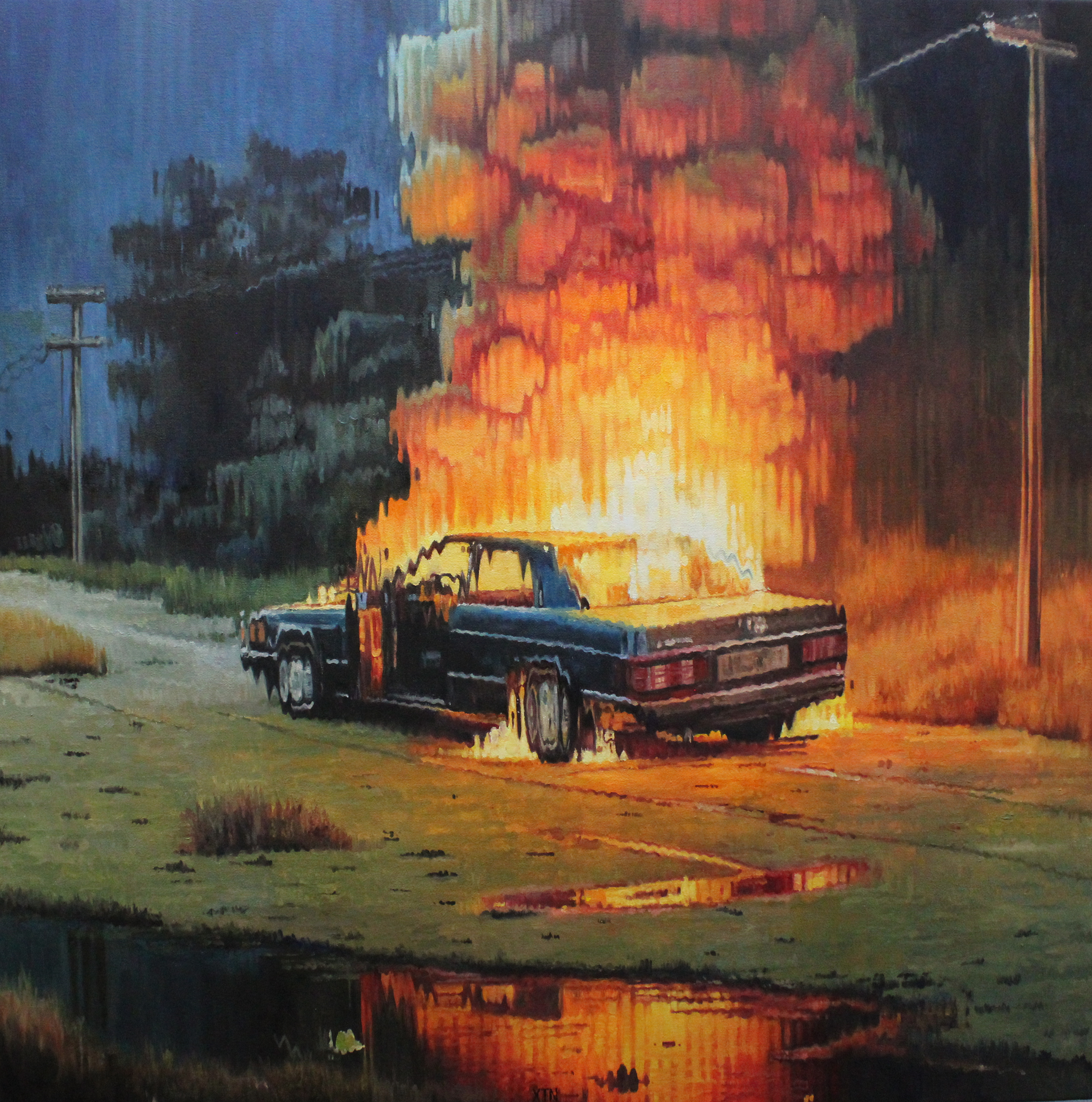 Nocturnal Schadenfreude