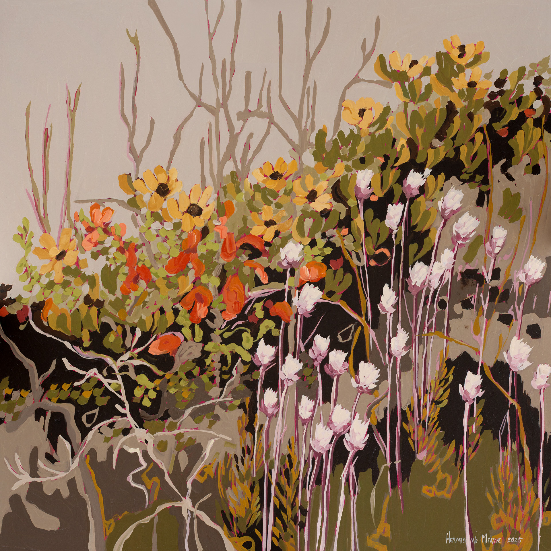 Yellow Cone Bush, Wild Sage and Everlastings Mountains