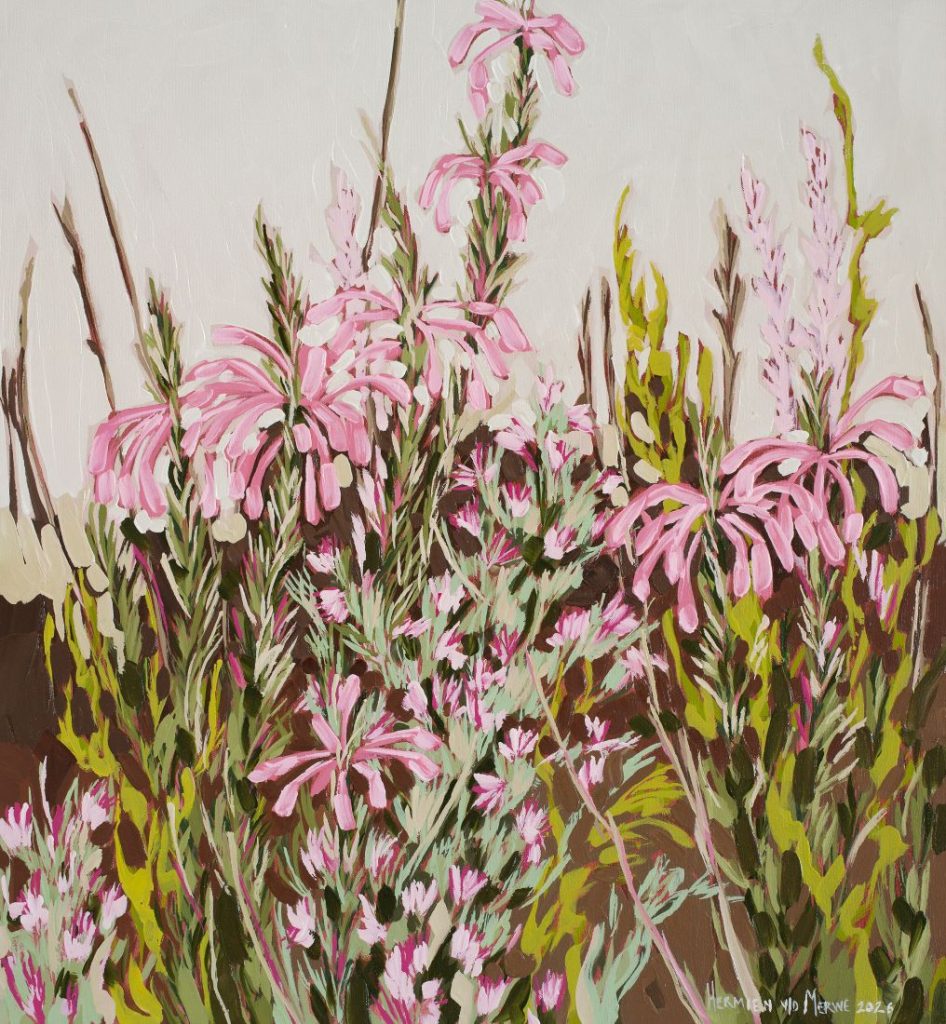 Pink Ericas (framed)
